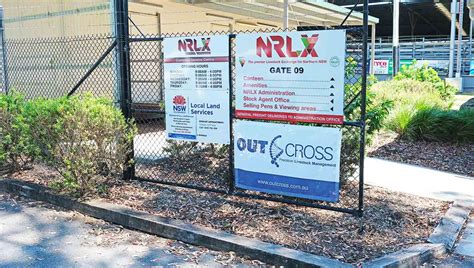 nrlx casino|casino cattle sales today.